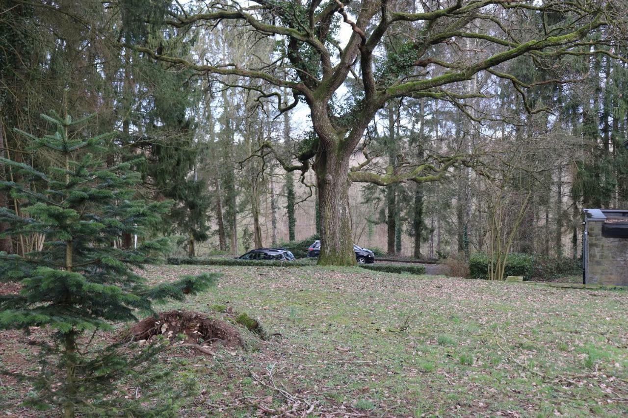 فيلا Nassogneفي Le Portail Des Ardennes المظهر الخارجي الصورة